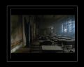 PDVD_267.jpg