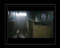 PDVD_284.jpg