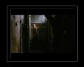 PDVD_295.jpg