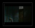 PDVD_312.jpg