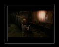 PDVD_316.jpg