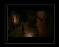 PDVD_319.jpg