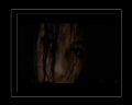 PDVD_341.jpg
