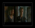 PDVD_404.jpg