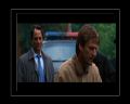 PDVD_413.jpg
