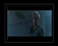 PDVD_433.jpg