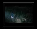 PDVD_482.jpg