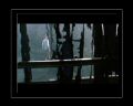 PDVD_488.jpg