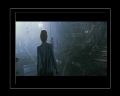PDVD_489.jpg