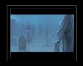 PDVD_530.jpg