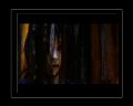 PDVD_764.jpg