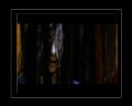PDVD_765.jpg