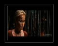 PDVD_780.jpg