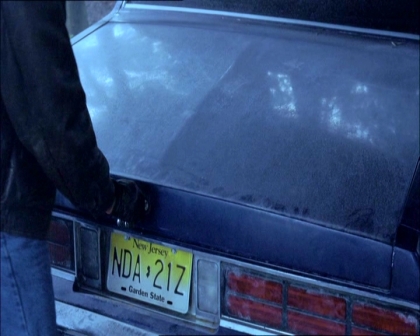PDVD_1182.jpg