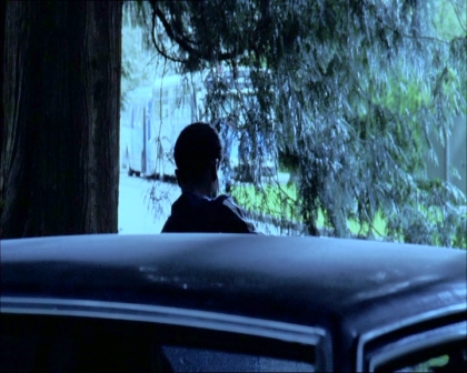 PDVD_1186.jpg