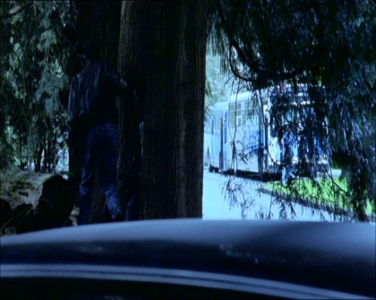 PDVD_1189.jpg