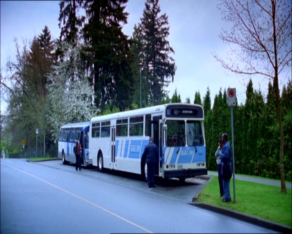 PDVD_1193.jpg