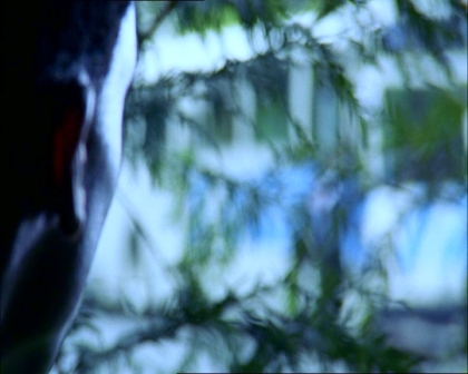 PDVD_1207.jpg