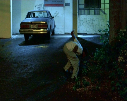 PDVD_1377.jpg