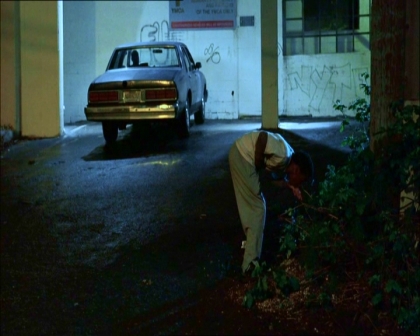 PDVD_1378.jpg