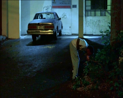 PDVD_1379.jpg