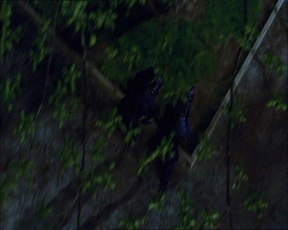 PDVD_1537.jpg