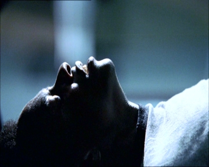 PDVD_320.jpg
