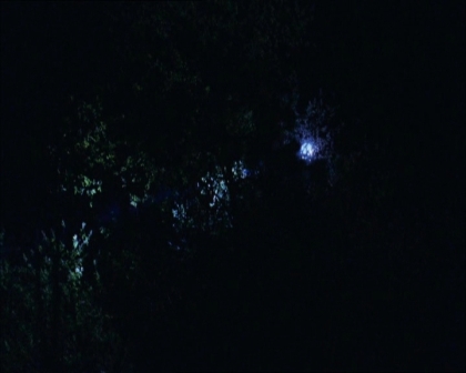 PDVD_635.jpg