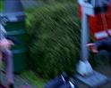 PDVD_1138