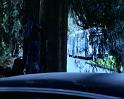 PDVD_1189