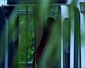 PDVD_1199
