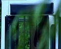 PDVD_1200