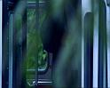PDVD_1206