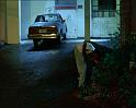 PDVD_1378