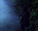 PDVD_1529