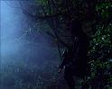PDVD_1530