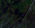 PDVD_1537