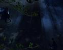 PDVD_1539