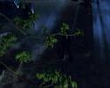 PDVD_1540