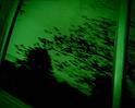 PDVD_1544