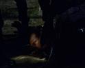 PDVD_1558