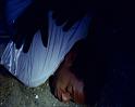PDVD_1561
