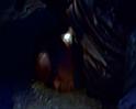 PDVD_1562