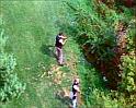 PDVD_570