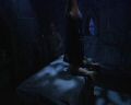 PDVD_345.jpg