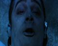 PDVD_371.jpg