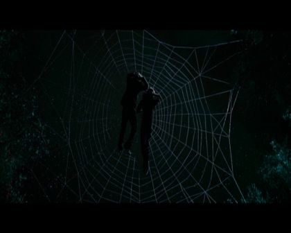 PDVD_102.jpg