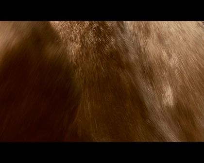 PDVD_1028.jpg