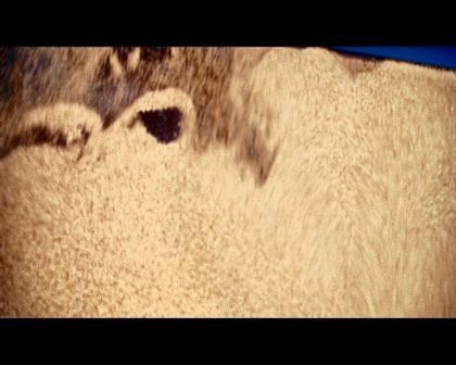 PDVD_1131.jpg