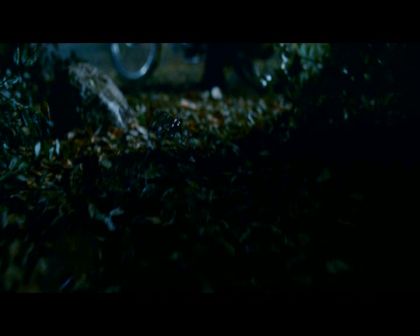 PDVD_131.jpg